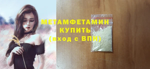 шишки Белокуриха