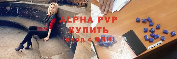 шишки Белокуриха