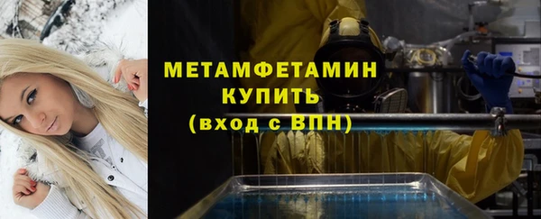 шишки Белокуриха