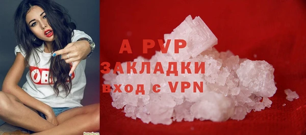шишки Белокуриха