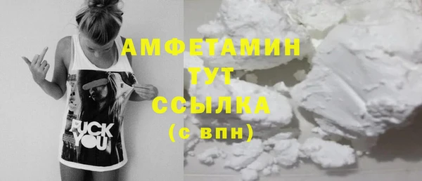 шишки Белокуриха