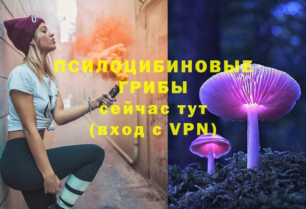 прущие крисы Белоозёрский