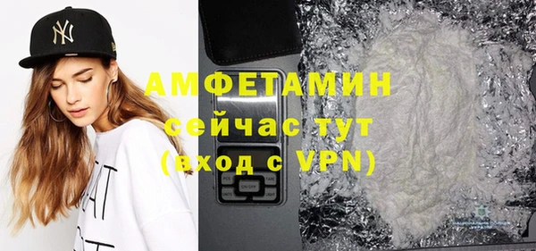 шишки Белокуриха