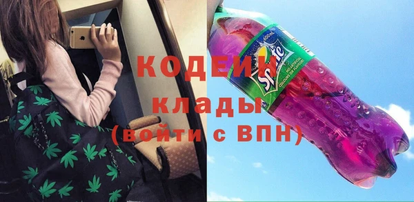 шишки Белокуриха