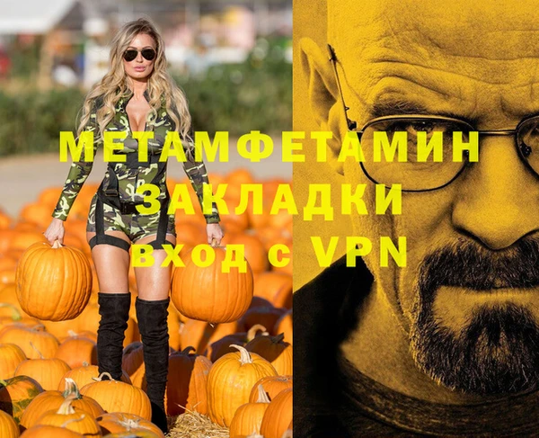 прущие грибы Богородицк