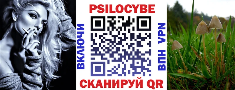 Псилоцибиновые грибы мицелий  кракен маркетплейс  Северск 